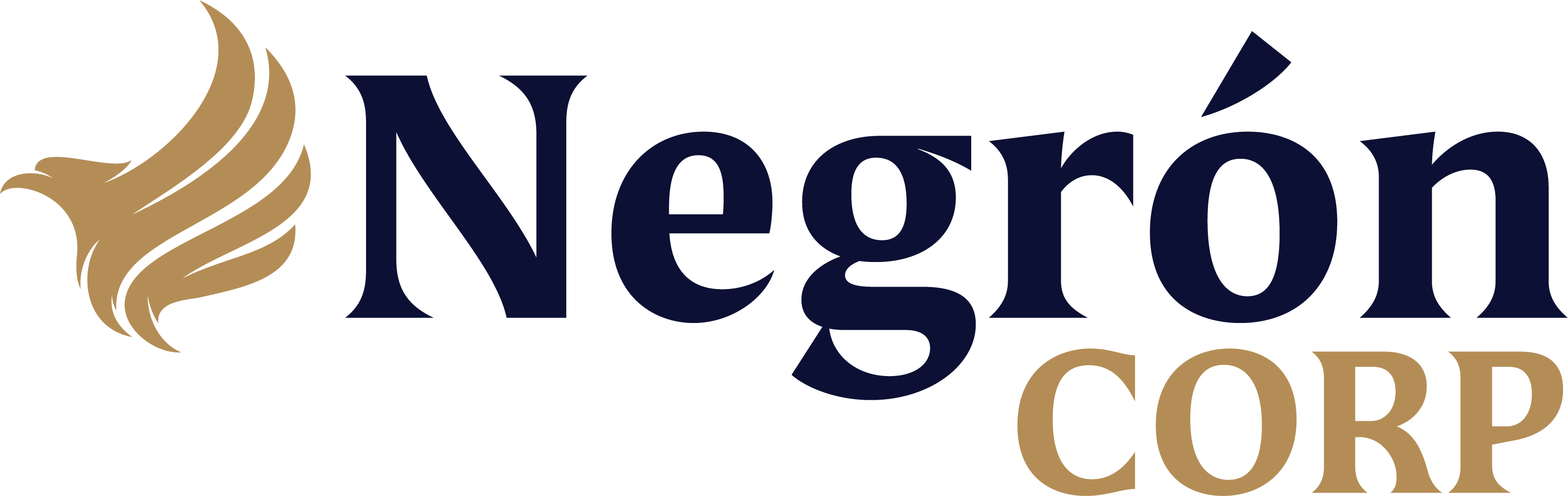 Negron Corp