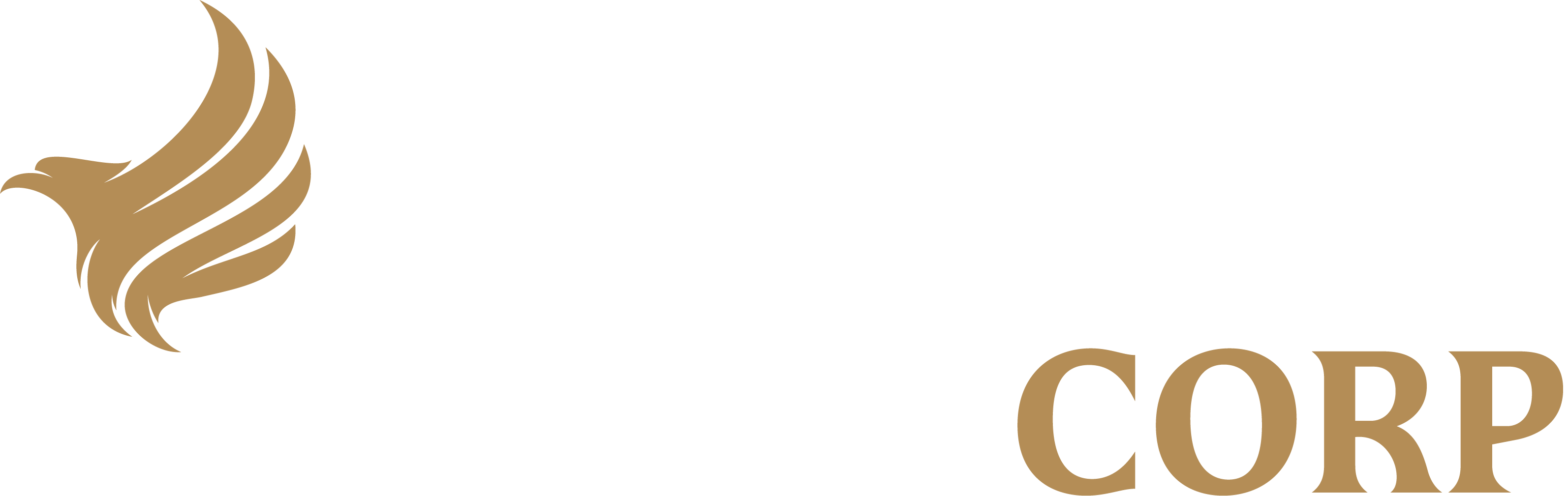 Negron Corp